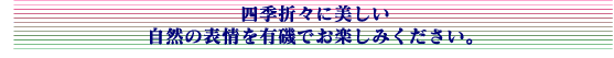 四季折々に美しい自然の表情を有磯でお楽しみください。