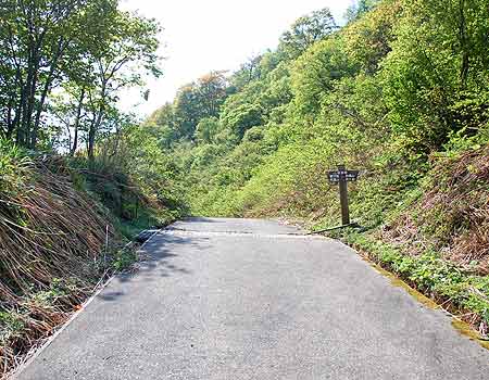 写真:坂田峠